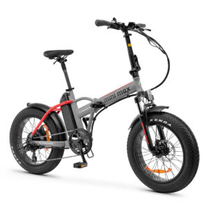 Bicicletta elettrica pieghevole con ruote grasse