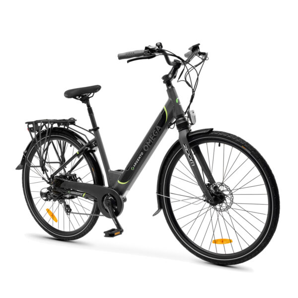 Bicicletta elettrica grigia con telaio robusto
