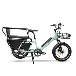 Platum Van 2025