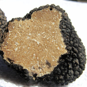 Sezione di tartufo nero su sfondo bianco.