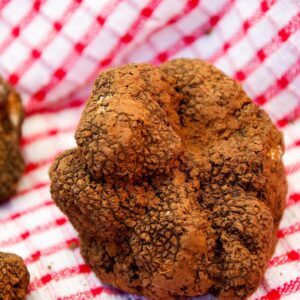 truffles, fungus, luxury, gastronomy, truffles, truffles, truffles, truffles, truffles