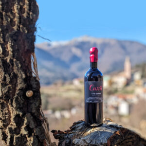 Bottiglia vino rosso su sfondo montano