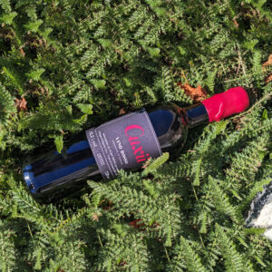 Bottiglia di vino rosso tra il verde.