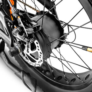 Mozzo ruota posteriore bici elettrica, raggi e freni.