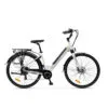 Bicicletta urbana bianca con portapacchi posteriore