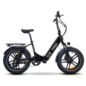 ducati-scrambler-scr-twister-2