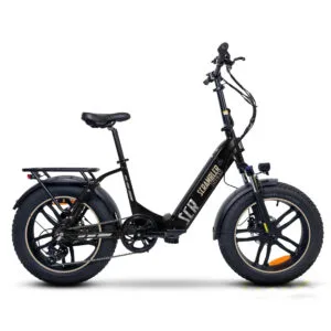 ducati-scrambler-scr-twister-2